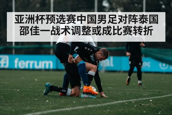 亚洲杯预选赛中国男足对阵泰国 邵佳一战术调整或成比赛转折